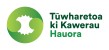 Chief Executive Officer | Te Tumu Whakarae