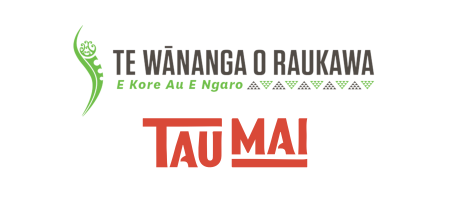 Tumuaki | Chief Executive