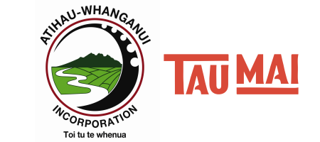 Tumu Whakarae | Chief Executive Officer